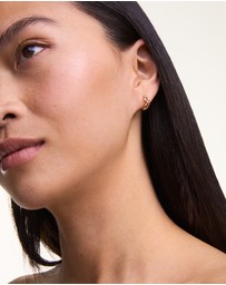 Daniel Wellington - 3-Link Earrings