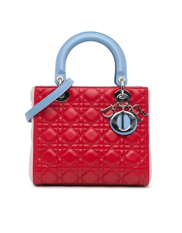 Pre-Loved by Azura Reborn - Pre-Loved Medium Tricolor Lambskin Cannage Lady Dior