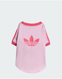 adidas Originals - adidas Pet Cali Tee