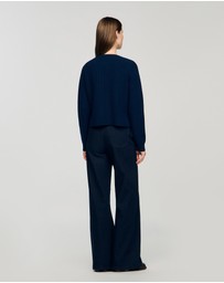 Sandro - Alexandre Cardi-Coat