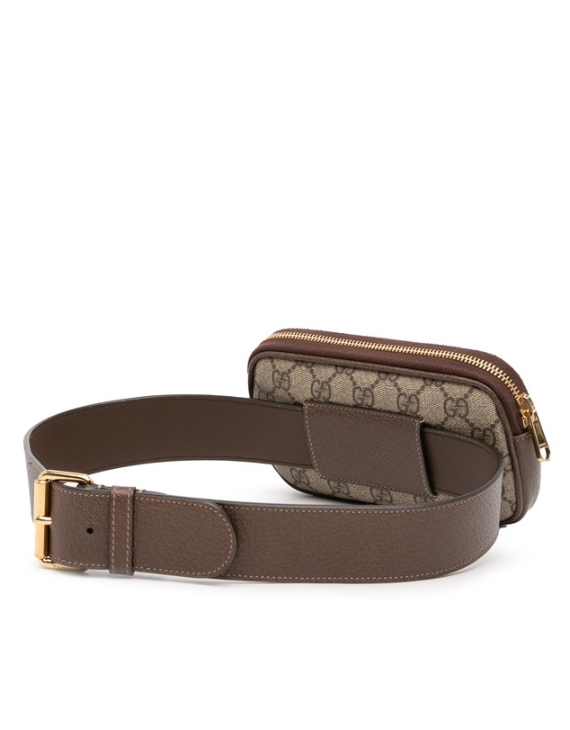 Pre-Loved by Azura Reborn - Pre-Loved Small GG Supreme Web Ophidia Belt Bag