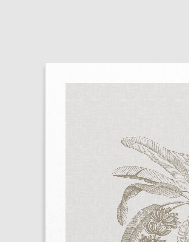 Olive et Oriel - Vintage Palm I Art Print
