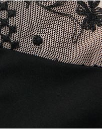 Passionata - Suzy Microfibre & Embroidery Hipster Bikini Brief