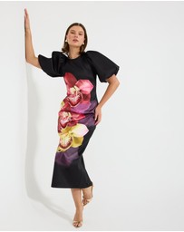 Pasduchas - Nova Sleeve Midi Dress