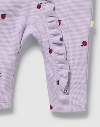 Wilson & Frenchy - Organic Waffle Ruffle Zipsuit - Babies