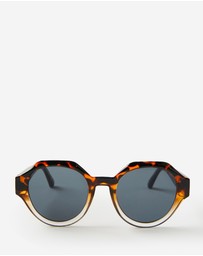 Cotton On - The Tourer Sunglasses
