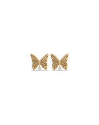 Michael Hill - Butterfly Stud Earrings in 10kt Yellow Gold