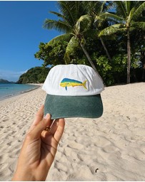 Pallion Point - Mahi Mahi Fish Lid