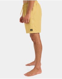 Quiksilver - Mens Everyday Volley 17