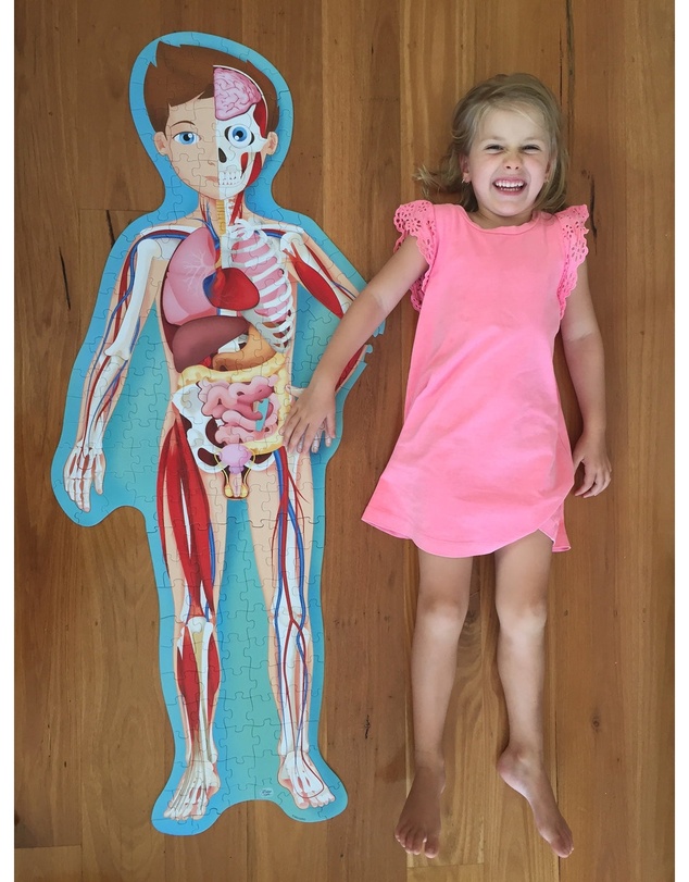 Sassi - Travel Learn Explore The Body Puzzle
