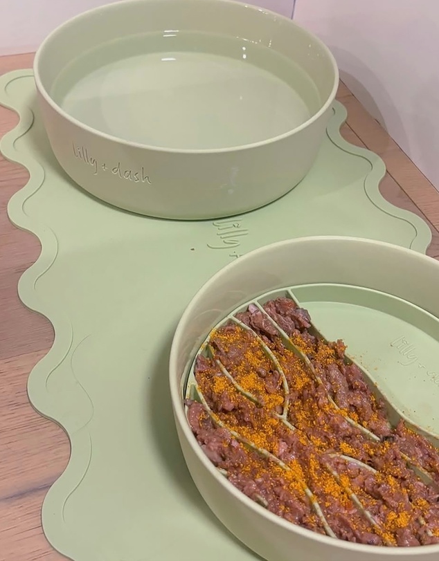 Lilly + Dash - Dog Eat and Drink Set – 2 Bowls + Lick Insert + Blue Placemat Set