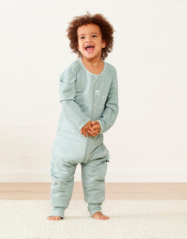 ergoPouch - Sleep Onesie 2.5 TOG