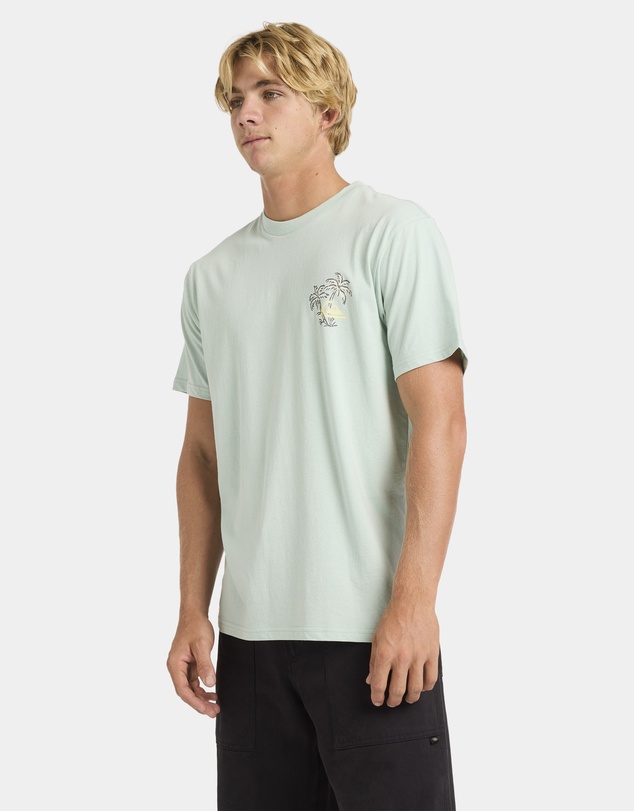 Quiksilver - Mens Nature Nomad T-Shirt
