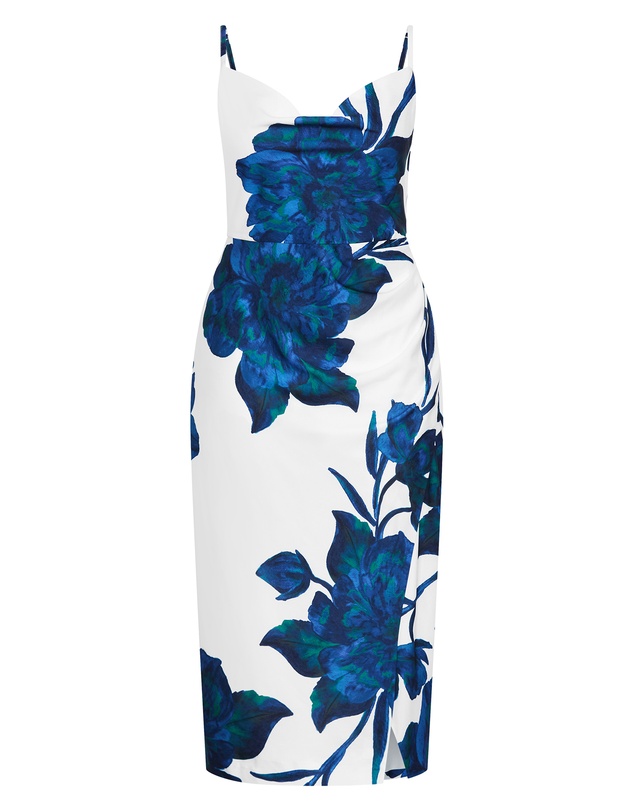 City Chic - Mariana Print Dress