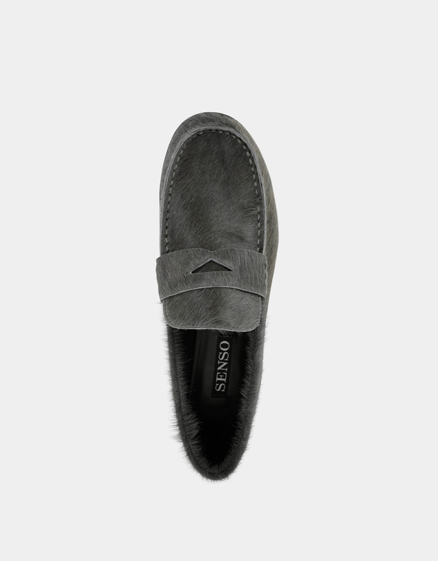 Senso - Elsa III