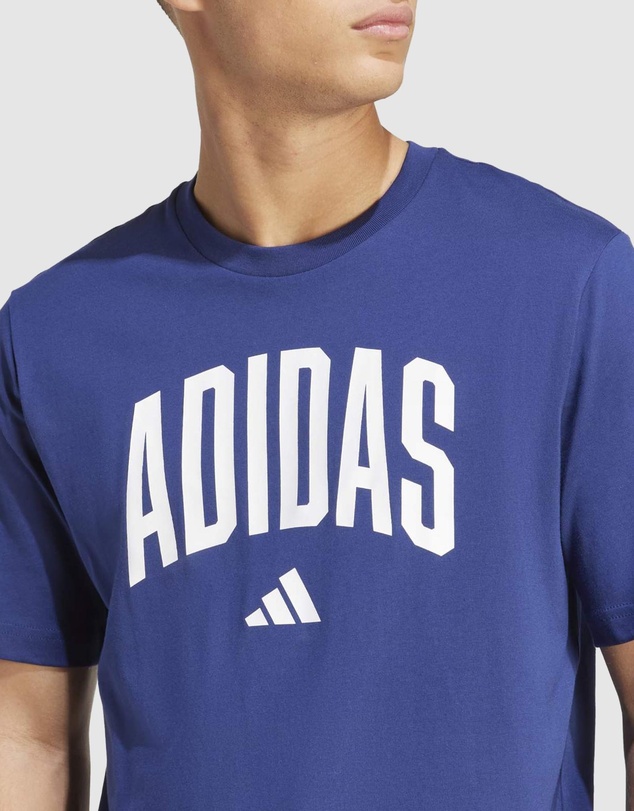 adidas Sportswear - Collegiate Lineage Graphic T-Shirt