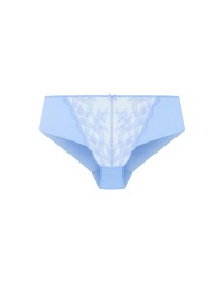 City Chic - Isadora Shorty
