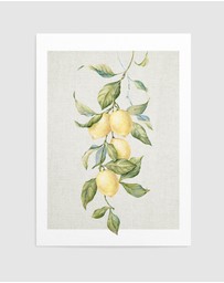 Olive et Oriel - Lemons on Linen II