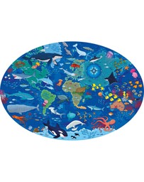 Sassi - Travel Learn Explore The Sea