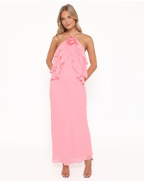 Petal & Pup - Zorina Halterneck Maxi Dress - Coral