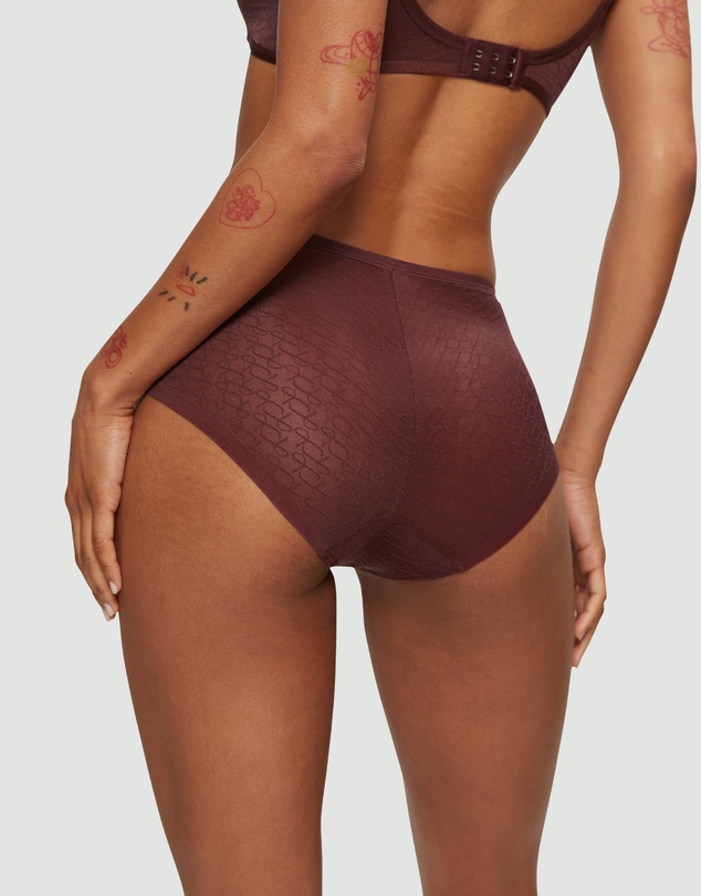 Triumph - Signature Sheer Maxi Brief