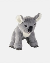 Linen House Kids - Kevin Koala Novelty Cushion