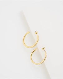 Ted Baker - CLANCI: Medium Crystal Hoop Earrings