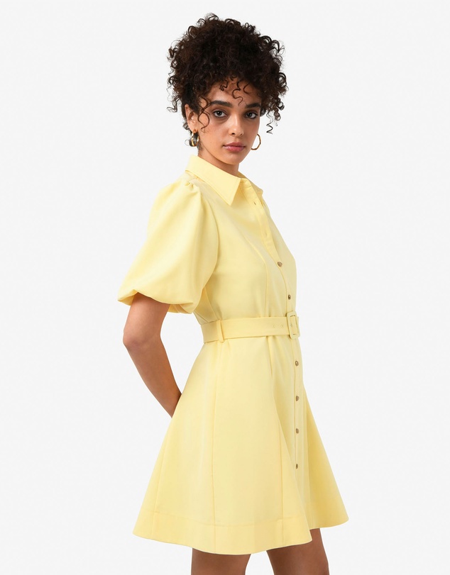 Forcast - Amera Utility Mini Belt Dress