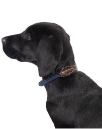 Mog & Bone - Classic Walk Bundle- Navy Rope