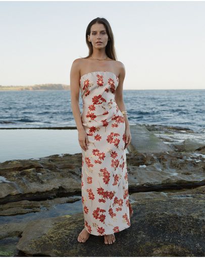 Red Daisy
