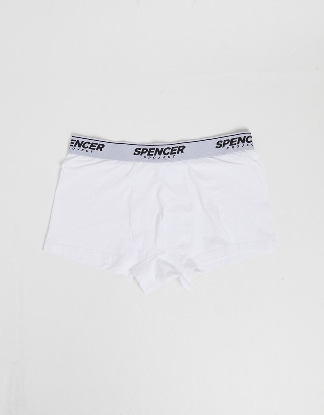 Spencer Project - Spencer Briefs