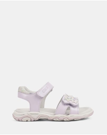 Lilac Multi