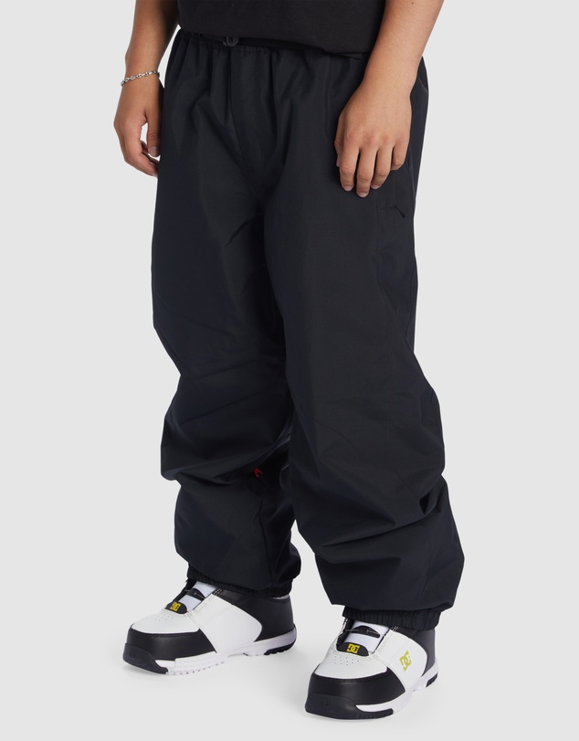 DC Shoes - Mens Primo Snow Pants