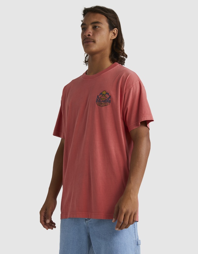 Billabong - Mens Homegrown T-Shirt