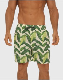 Coast Clothing - Ecuador Swim Shorts