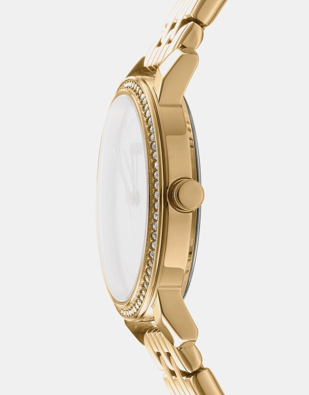 DKNY - DKNY Astoria Glitz Watch