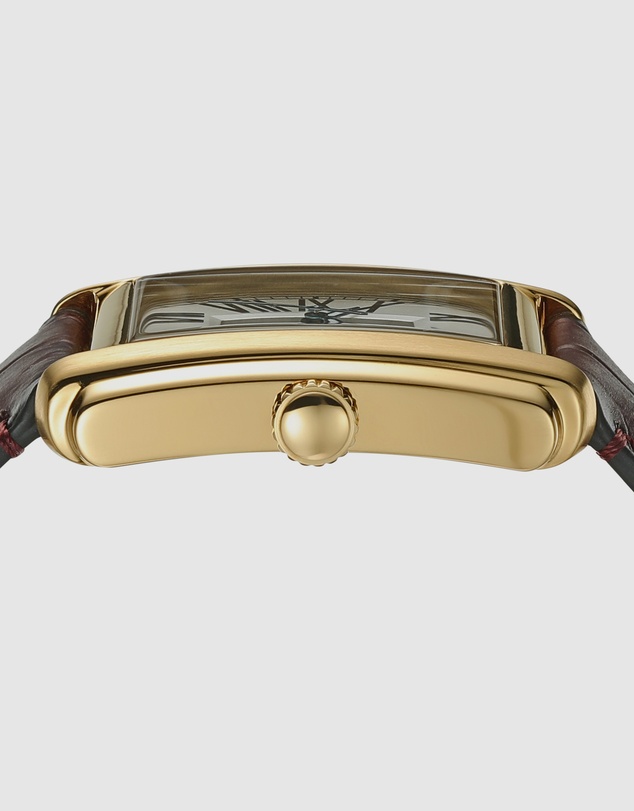 Fossil - Carraway Brown Analogue Watch