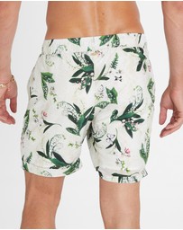 Aqua Blu Australia - Lily Taylor Shorts