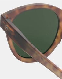 IZIPIZI - Sun Collection N Havane