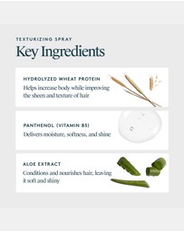 Virtue Labs - Texturizing Spray