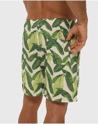 Coast Clothing - Ecuador Swim Shorts