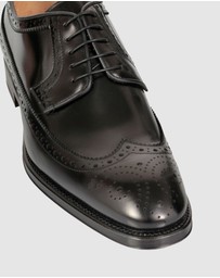 Brando - Wing Brogues And oxford