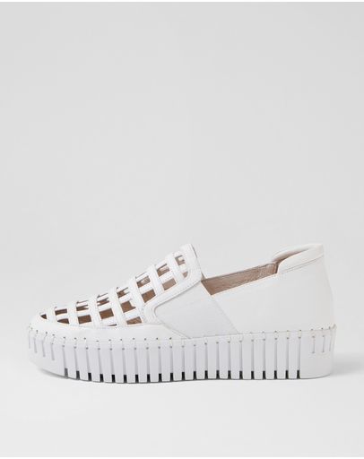 WHITE-WHITE SOLE