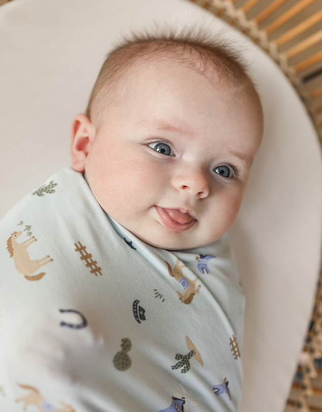 Kynd Baby - Large Stretchy Swaddle in Country Blue