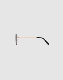 Daniel Wellington - Lynx Steel Sunglasses