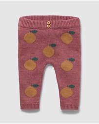 Wilson & Frenchy - Organic Knitted Jacquard Leggings - Babies