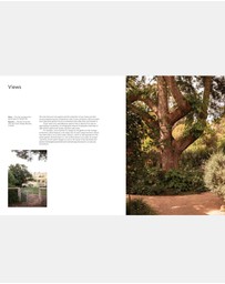 Brumby Sunstate - Wild by Design