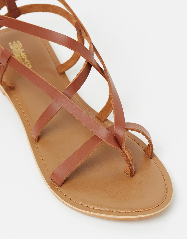 Just Because - Latina