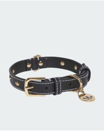 adidas Originals - adidas Pet Collar