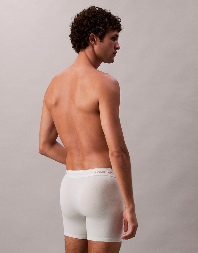Calvin Klein - Icon Cotton Stretch 3 Pack Boxer Briefs